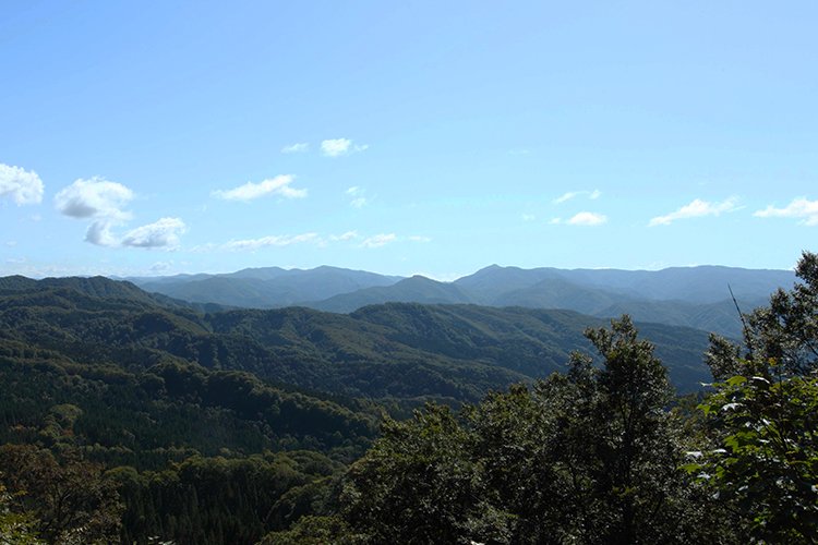 日本初の世界自然遺産 白神山地